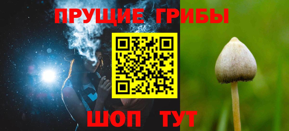 хочу   Вход с VPN  Артёмовский  Псилоцибиновые грибы прущие грибы  Псилоцибиновые грибы Psilocybine cubensis 